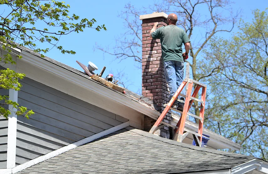 Chimney & Fireplace Inspections Services in Chicago Heights, IL